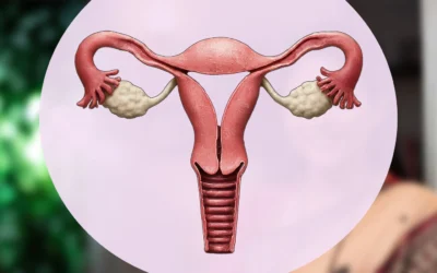 Mechanism of Action of Oral Contraceptives
